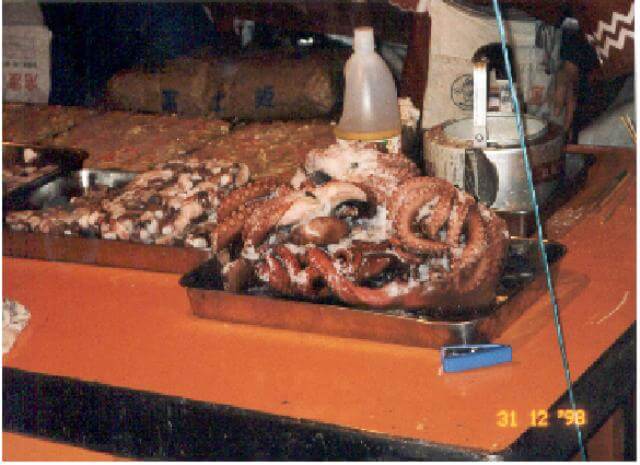 sea food - octopus