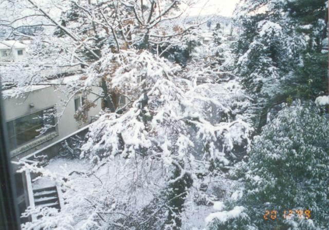Sendai city - snowing - from lab - Tohoku University